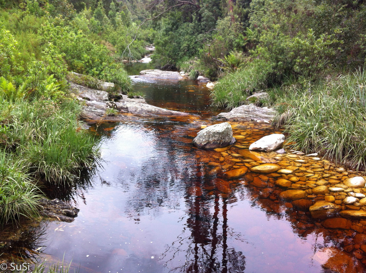 Wanderung am roten Fluss