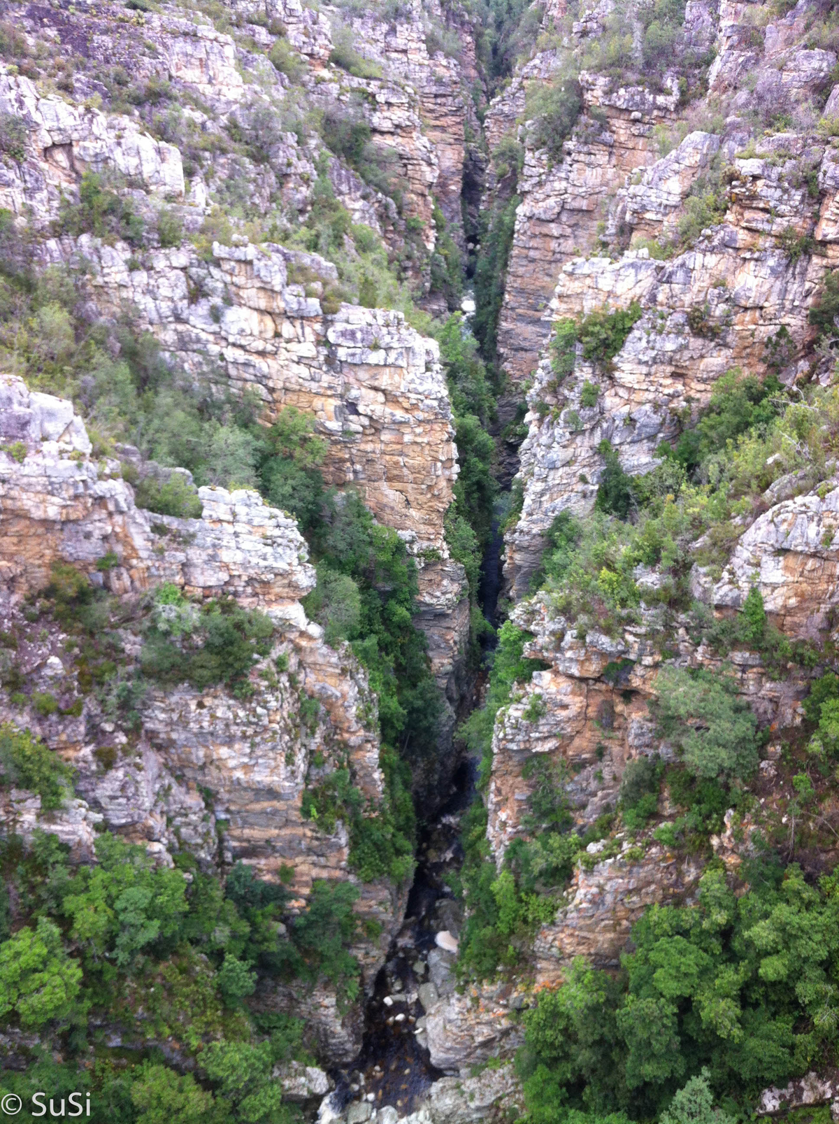 Bloukrans River Valley