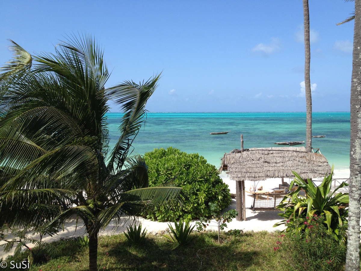 Der Blick aus unserem Fenster