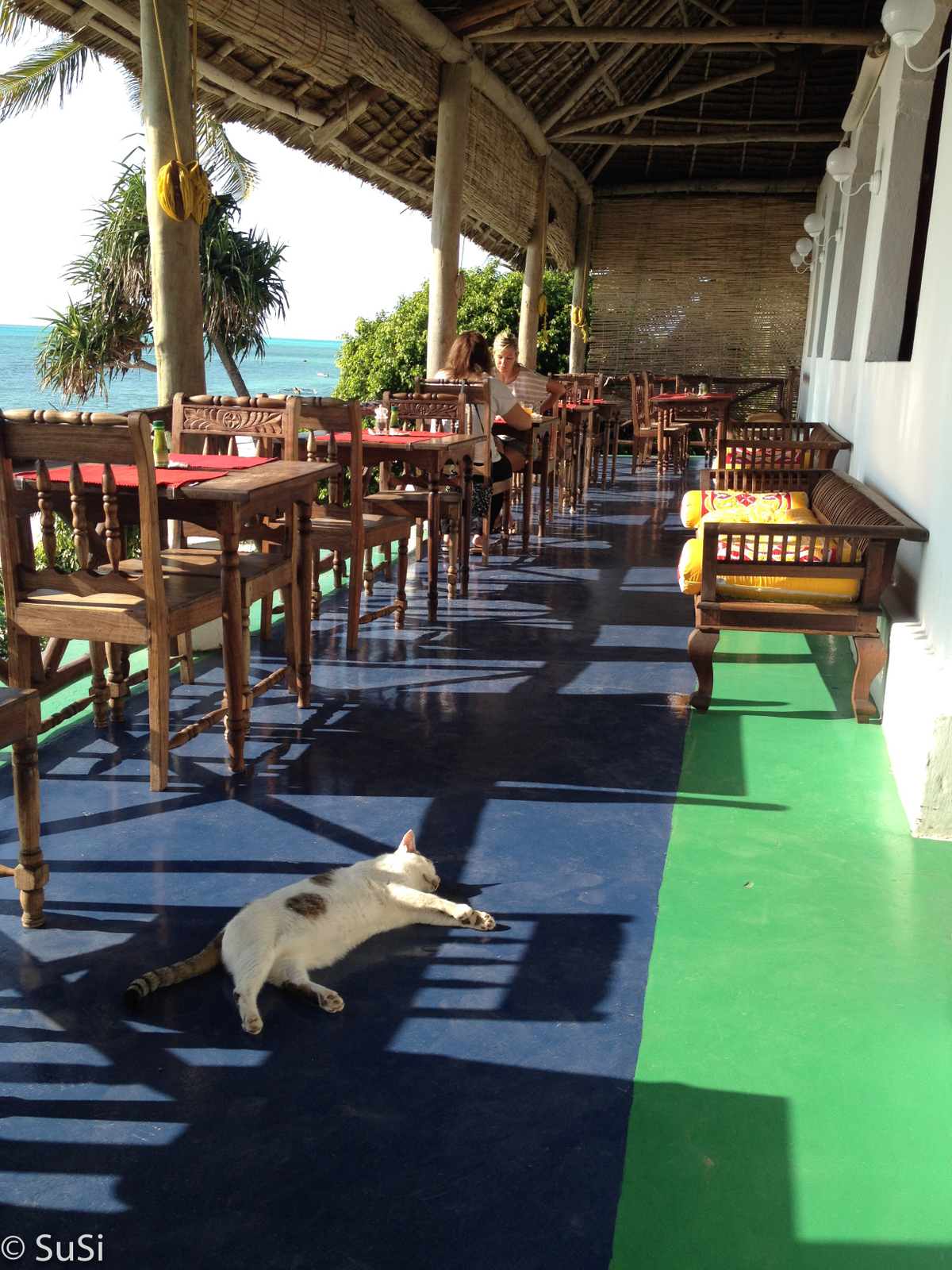 Der Hotelkater Freundchen mit beim Frühstück