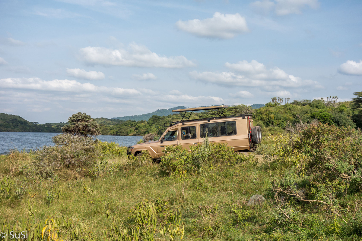 Safarifahrzeug am See