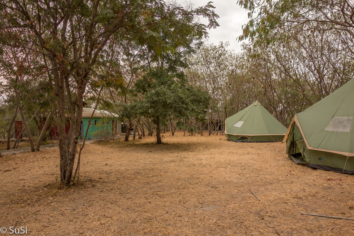 Unsere Safarizelte auf der Campsite