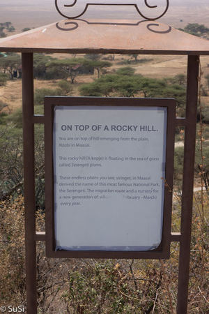 Top of a rocky hill