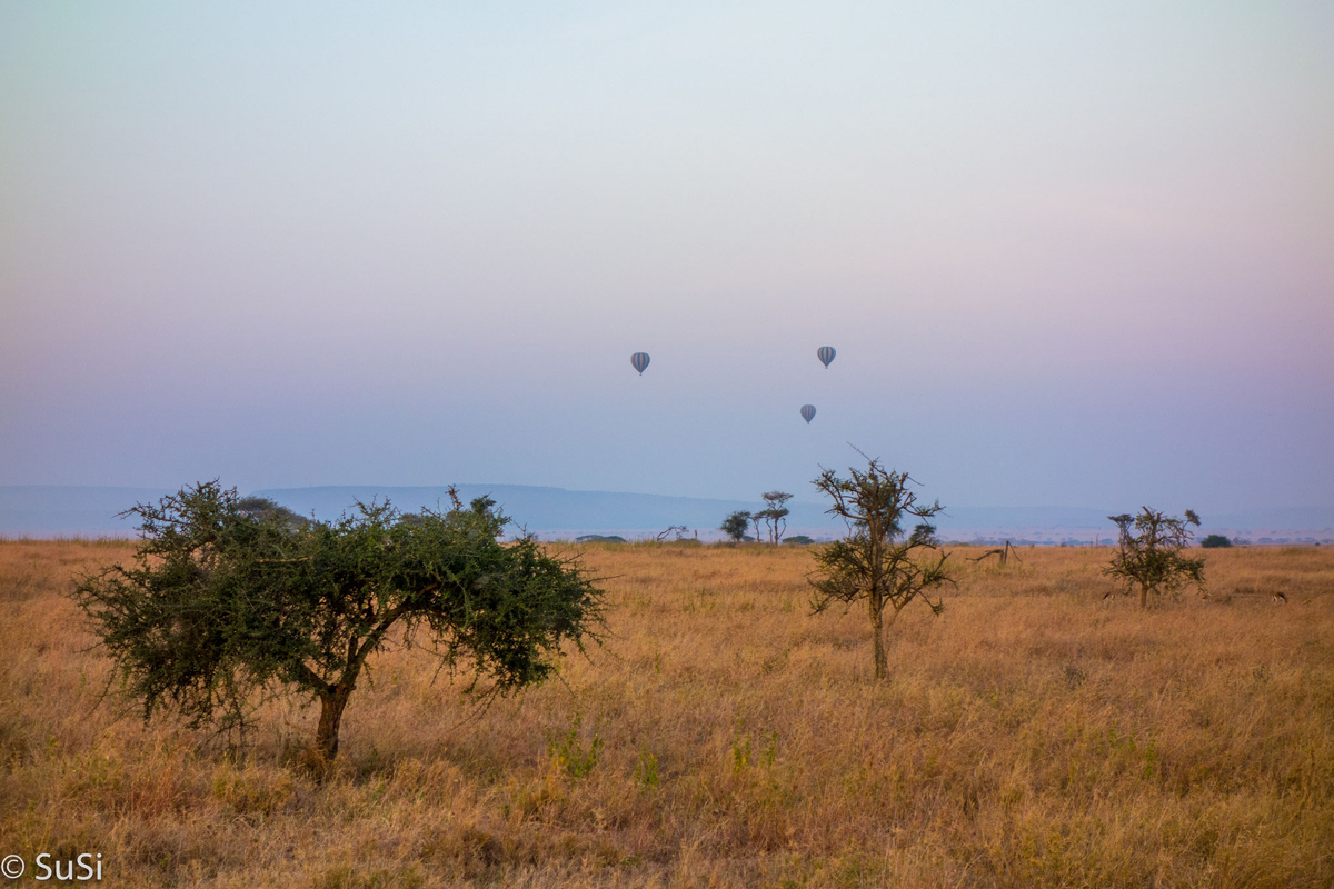 Ballonfahrer über der Steppe