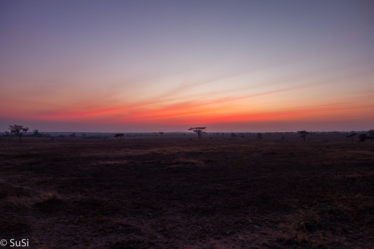 Sonnenuntergang in der Serengeti