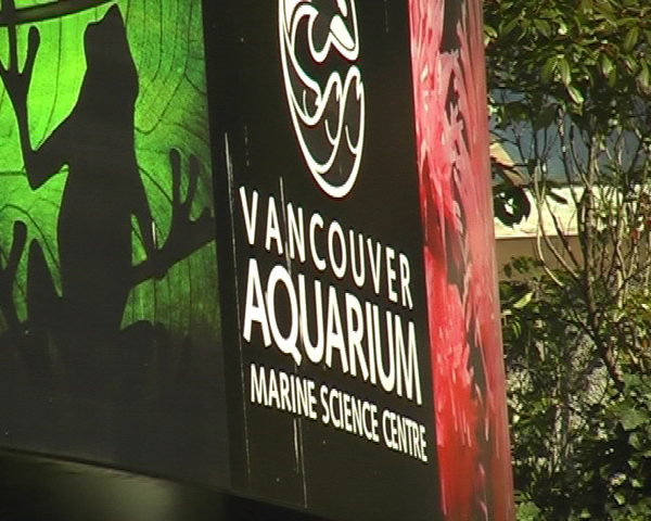 Vancouver Aquarium Vancouver Aquarium