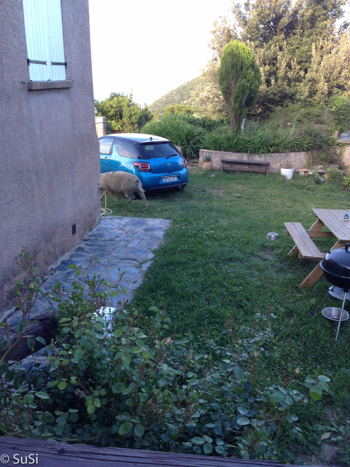 ..Besuch im Garten… ..Besuch im Garten…