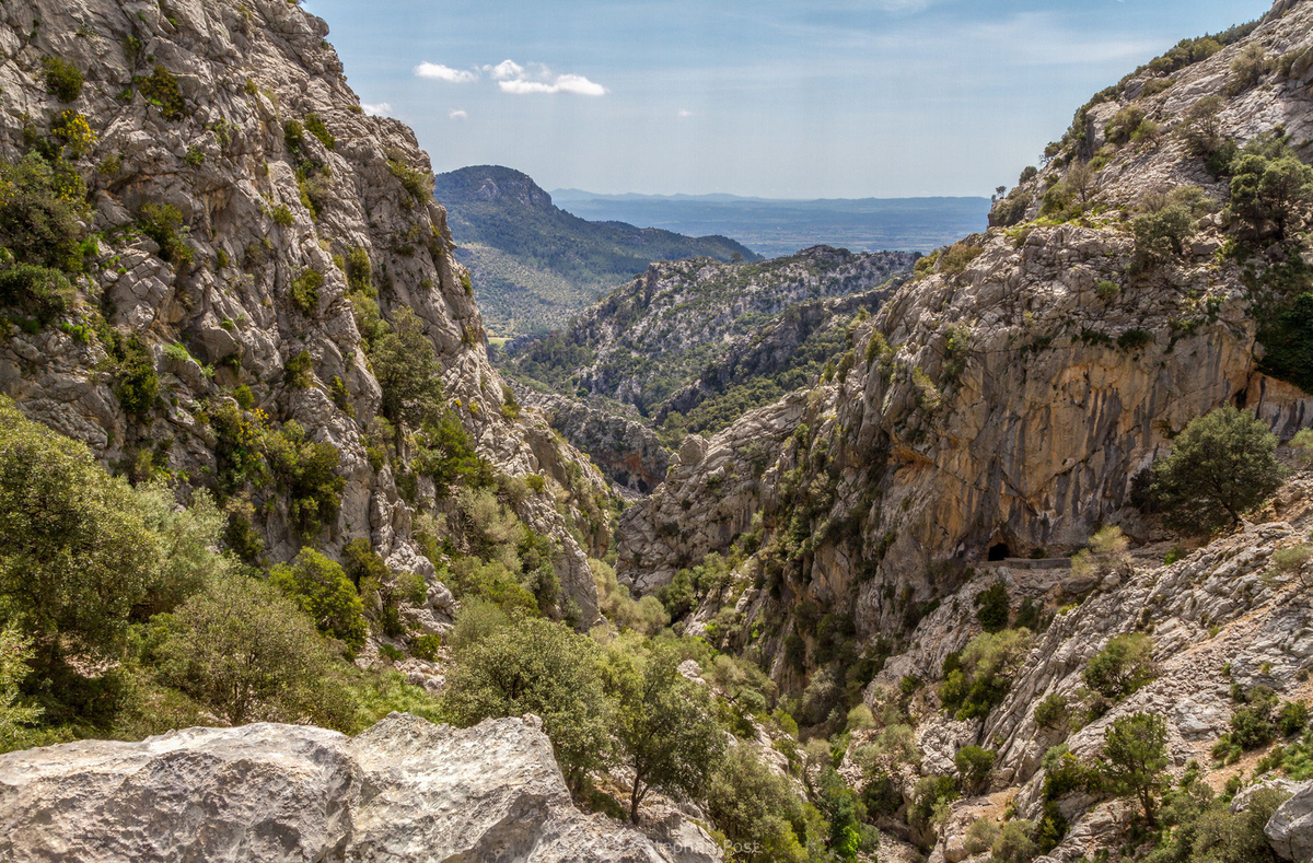 eine-wanderung-auf-mallorca.jpg