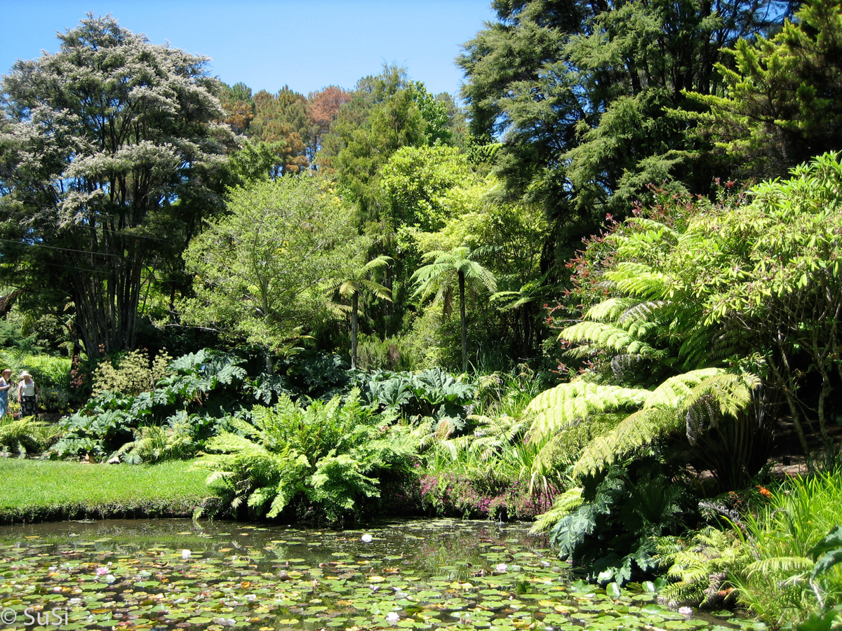 Rapaura Watergardens