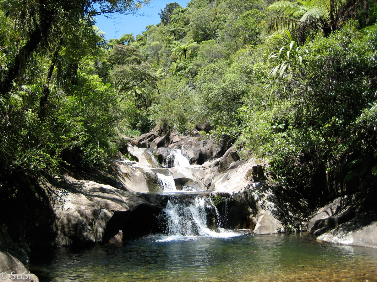 Rapaura Watergardens