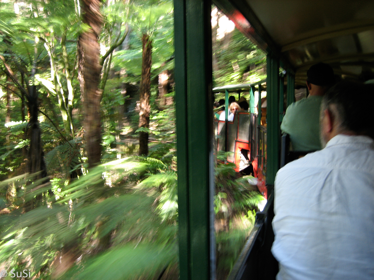 Driving Creek Railway