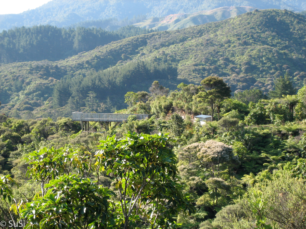 Driving Creek Railway