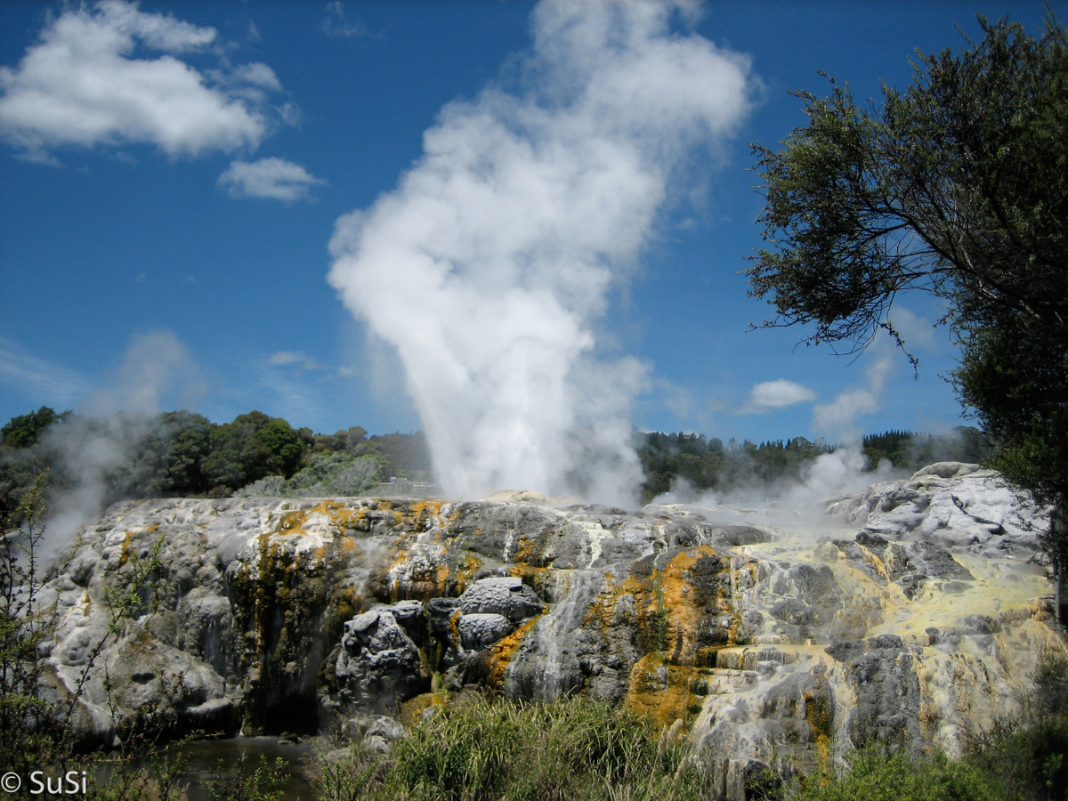 Roturua - Te Puia Thermal Reserve