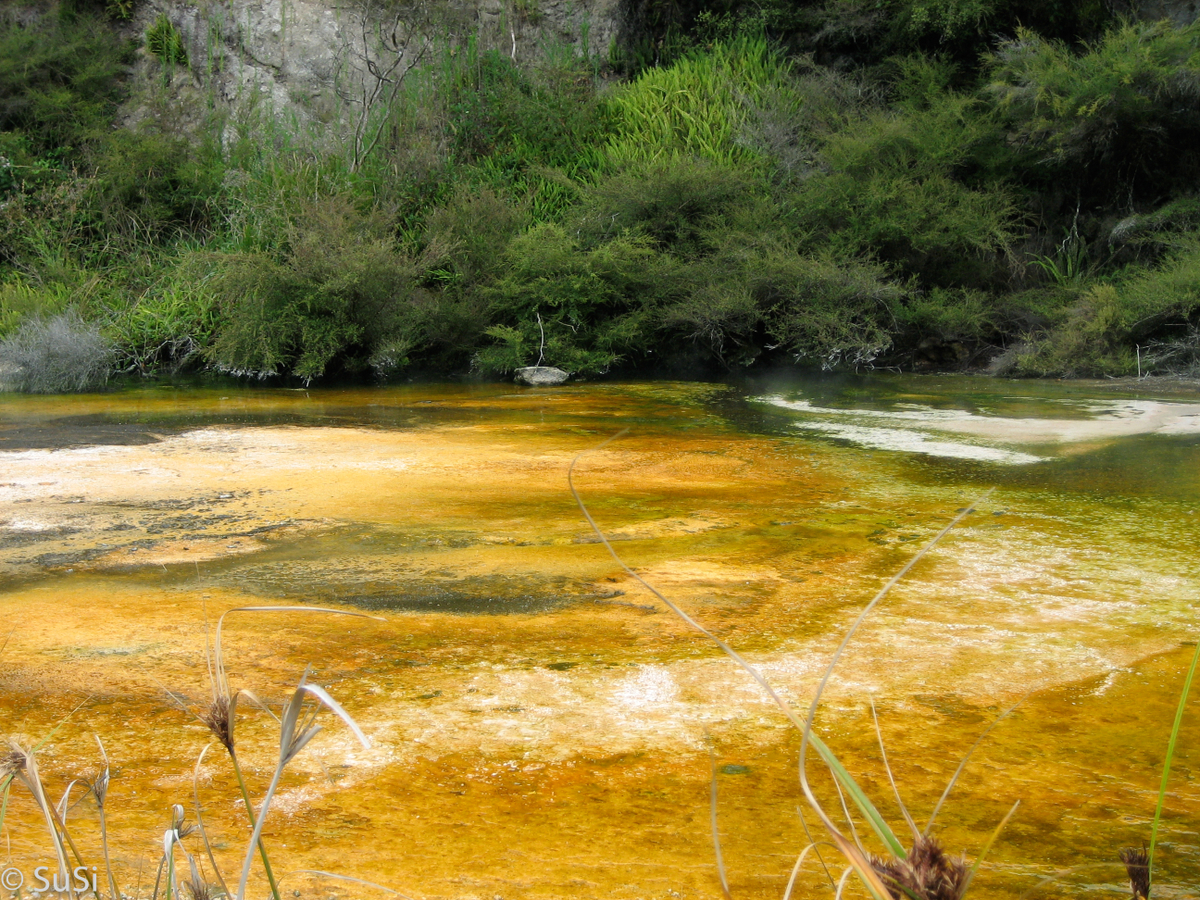 Waiotapu Thermal Reserve und Waimangu Vulcan Valley